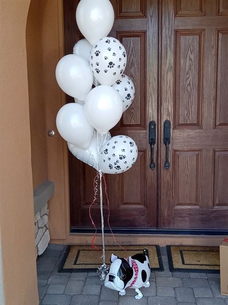 AZ Balloon Art by Dan The Balloon Man