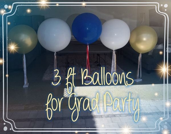 AZ Balloon Art by Dan The Balloon Man