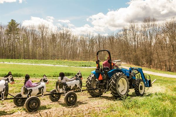 The Party Farm at Sunset Berry Farm