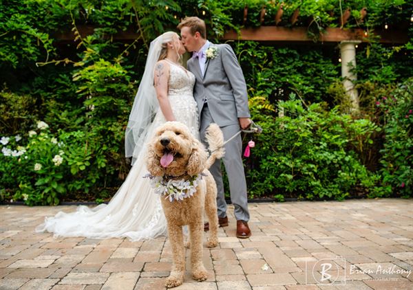 Chandelier Event Venue