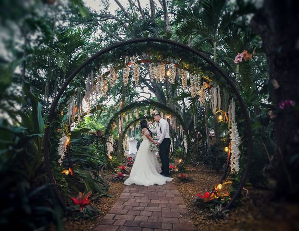 Pixie Vision Photography