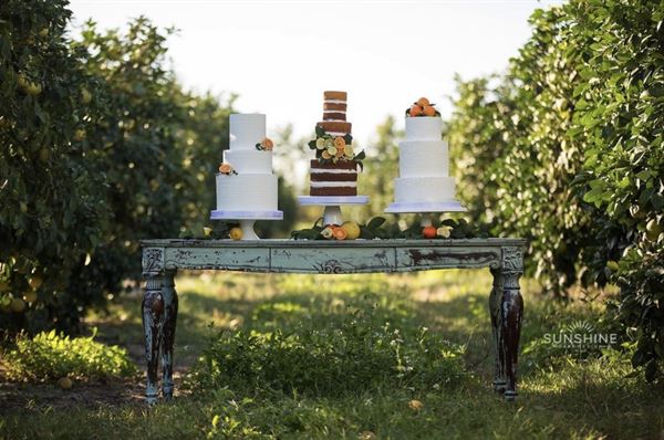 Southern Vintage Decor