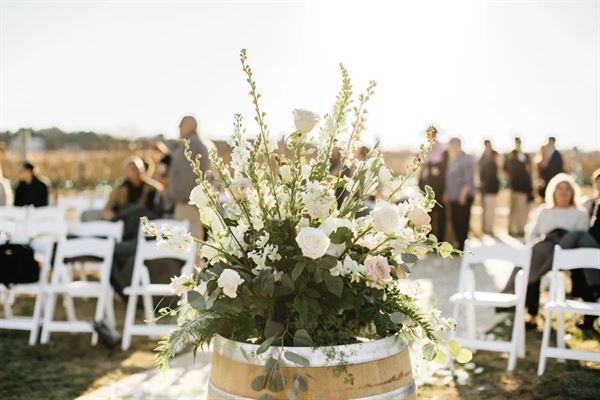 Hidden Hangar Vineyard and Winery