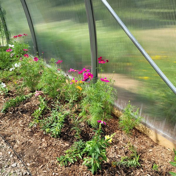 For-Mar Nature Preserve & Arboretum