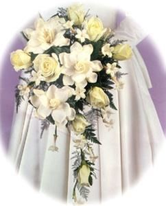 Modesto Exotic Flowers