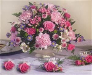 Modesto Exotic Flowers