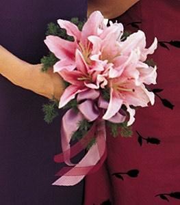 Modesto Exotic Flowers