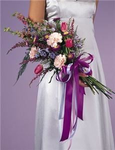 Modesto Exotic Flowers