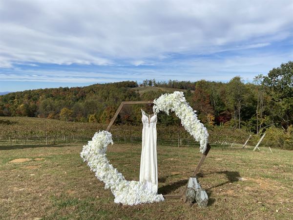 Terra Incognita Vineyard