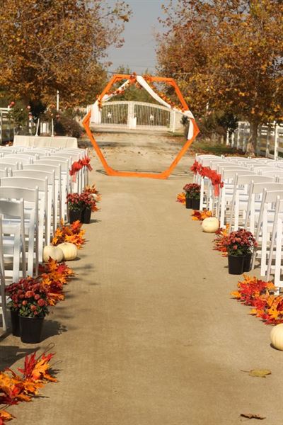 Rockin' Rose Bakersfield