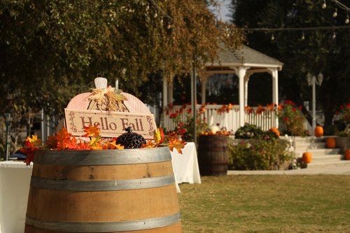 Rockin' Rose Bakersfield