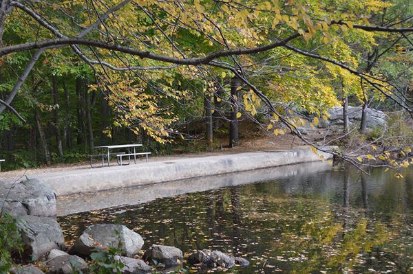 Hale - Powissett Lodge