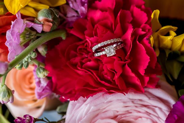 Laura Priestley Photography