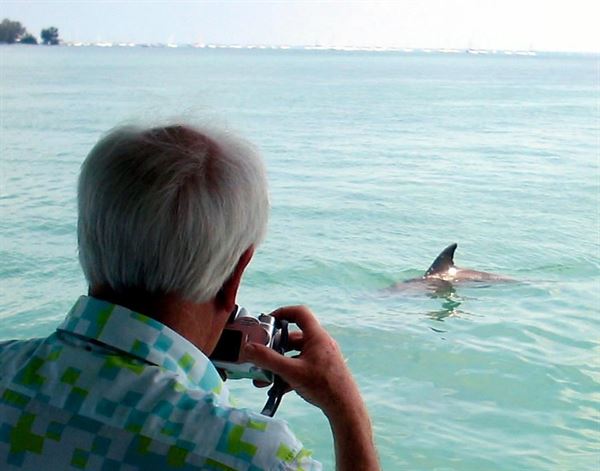 LeBarge Tropical Cruises