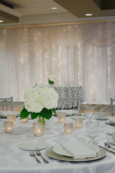 Courtyard Springfield