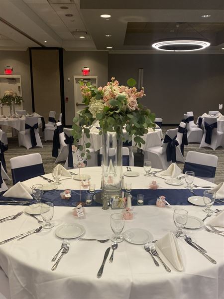 Courtyard Springfield