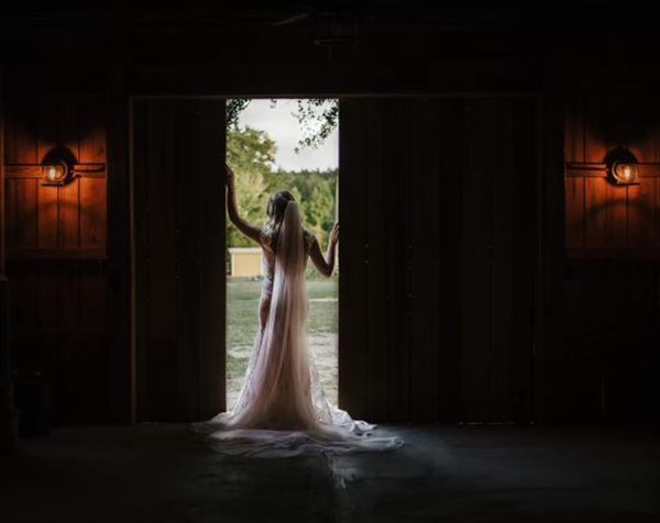 King George Lavender