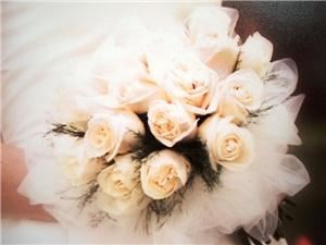 Evans-King Floral - Luzerne