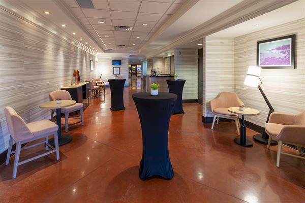 Holiday Inn Hotel & Suites Maple Grove NW Mpls-Arbor Lks