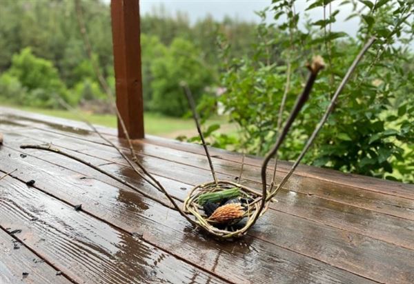 Sporleder Centennial Ranch LLC, Spanish Peaks Weddings