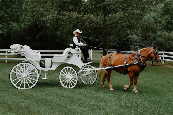 Tying The Knot Weddings