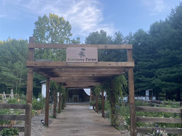 Elderberry Farms