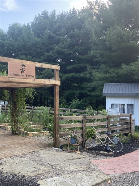 Elderberry Farms