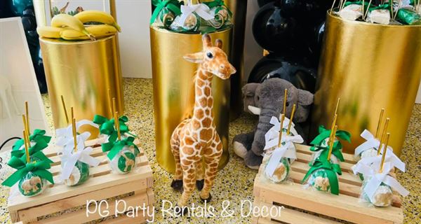 PG Party Rentals & Decor Event Center