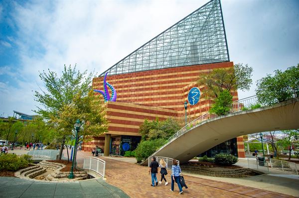 Tennessee Aquarium