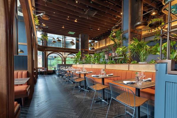 Midnight Theatre & Hidden Leaf