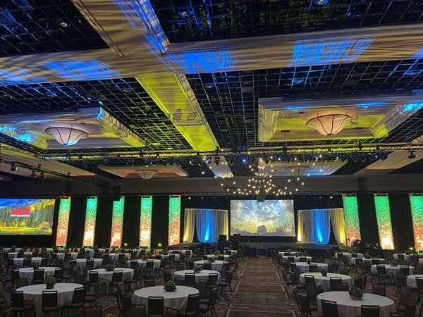 Show and Design Group