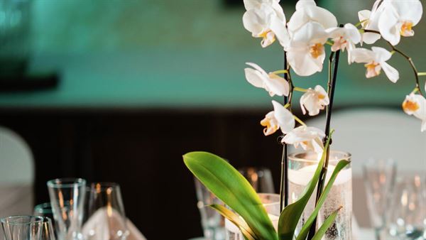 Hilton Garden Inn Exton/West Chester