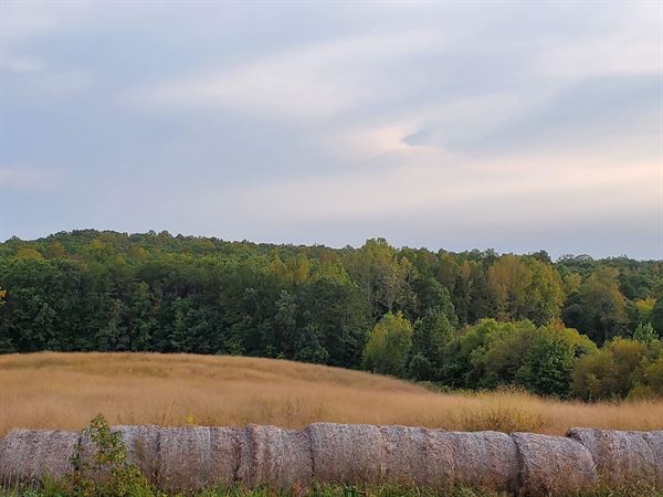 The Barn at Vernon Farm