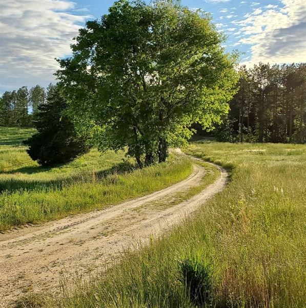 The Barn at Vernon Farm