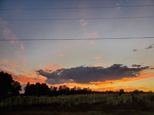 The Barn at Vernon Farm