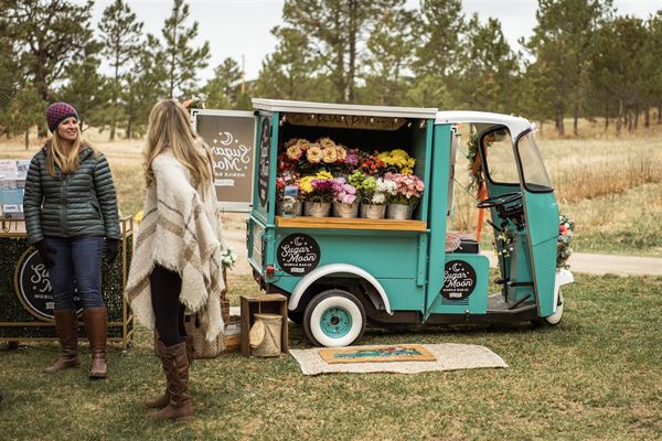 Black Forest Meadows