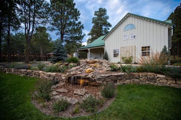 Black Forest Meadows