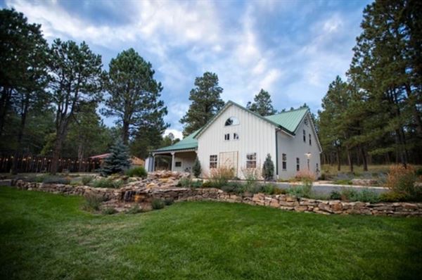 Black Forest Meadows