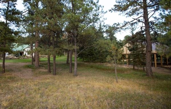 Black Forest Meadows