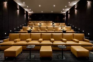 Silver Screening Room