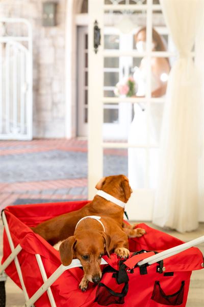 THE SOUTHBAY WEDDING CENTER