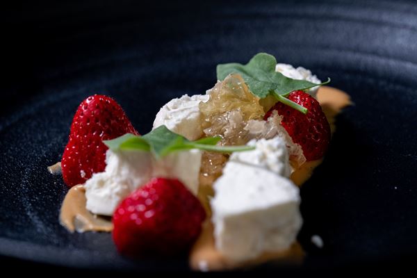 Bello by Sandro Nardone