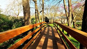 Romantic Arched Bridge