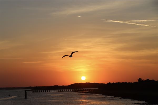 Golden Coastal Getaways