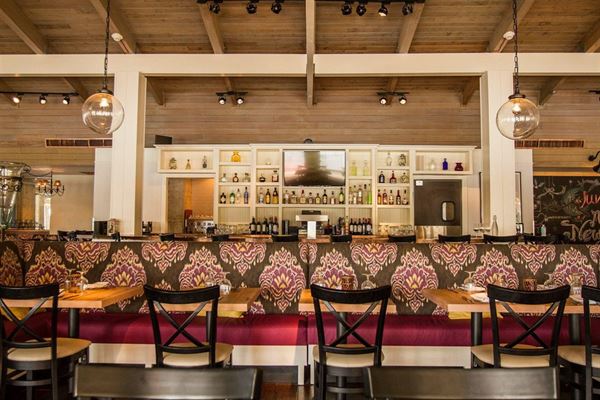 Juniper on the Water