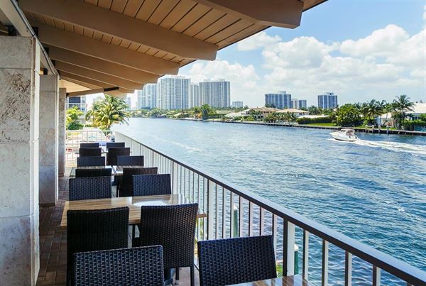 Juniper on the Water