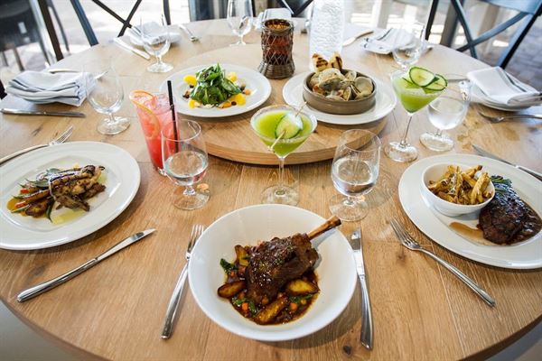 Juniper on the Water