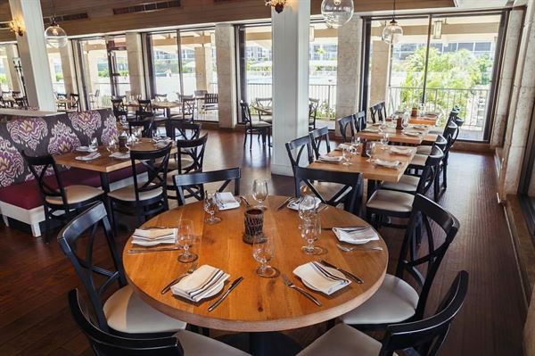 Juniper on the Water