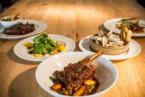 Juniper on the Water