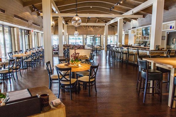 Juniper on the Water